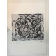 Set de litografia Jackson Pollock 50x70 cm certificat