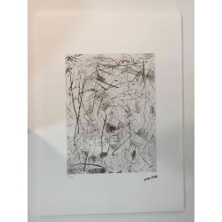 Jackson Pollock Lithographie Offset 50x70 cm zertifiziert