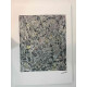 Litografia Jackson Pollock off set 50x70 cm certificada