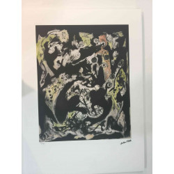 Jackson Pollock Lithografie off set 50x70 cm gecertificeerd