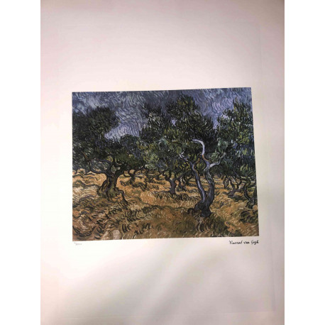 Vincent Willem van Gogh Lithographie hors set 50x70 cm certifiée