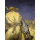 Vincent Willem van Gogh Lithographie hors set 50x70 cm certifiée