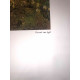 Vincent Willem van Gogh Lithograph off set 50x70 cm certified