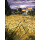 Vincent Willem van Gogh 50x70 cm-ko off-set litografia ziurtagiria