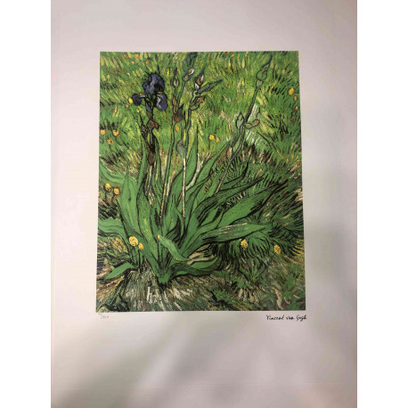 Vincent Willem van Gogh Litografía off set 50x70 cm certificada