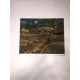 Vincent Willem van Gogh Litografia off set cm 50x70 certificata