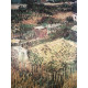 Vincent Willem van Gogh Lithograph off set 50x70 cm certified
