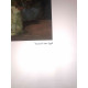 Vincent Willem van Gogh Lithograph off set 50x70 cm certified