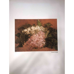 Vincent Willem van Gogh Lithograph off set 50x70 cm certified