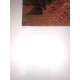 Vincent Willem van Gogh Lithograph off set 50x70 cm certified