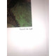Vincent Willem van Gogh Lithograph off set 50x70 cm certified