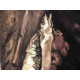 Vincent Willem van Gogh 50x70 cm-ko off-set litografia ziurtagiria