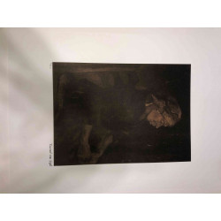 Vincent Willem van Gogh Litografia offsetowa 50x70 cm certyfikowana