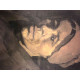 Vincent Willem van Gogh Litografía off set 50x70 cm certificado