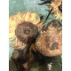 Vincent Willem van Gogh Litografia off set 50x70 cm certificat