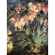 Vincent Willem van Gogh Litografia off set 50x70 cm certificat