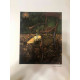Vincent Willem van Gogh Litografía off set 50x70 cm certificado
