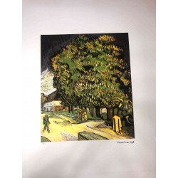 Vincent Willem van Gogh Litografia off set 50x70 cm certificat