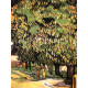 Vincent Willem van Gogh Litografia off set 50x70 cm certificat
