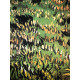 Vincent Willem van Gogh Litografia off set 50x70 cm certificat