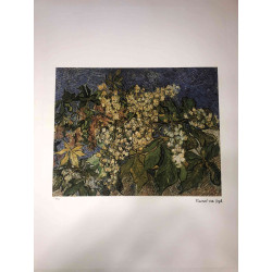 Vincent Willem van Gogh Litografía off set 50x70 cm certificado