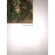 Vincent Willem van Gogh Lithografie off set 50x70 cm gecertificeerd