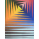 Victor Vasarely Litografía off set 35x50 cm certificado