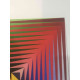 Victor Vasarely Litografía off set 35x50 cm certificado