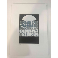 Victor Vasarely Litografia off set 35x50 cm certificat