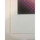 Victor Vasarely Lithograph off set 35x50 cm certified