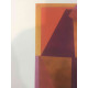 Victor Vasarely Litografia off set 35x50 cm certificat