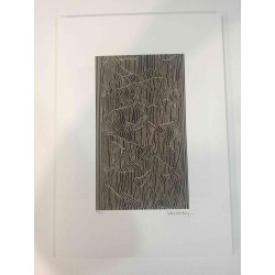 Victor Vasarely Litografia off set 35x50 cm certificat