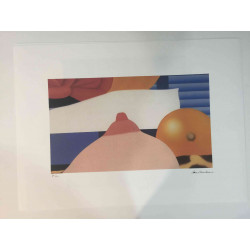 Litografická ofsetová souprava Tom Wesselmann 50x70 cm certifikovaná
