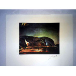 Setul de litografie Salvador Dali 50x65 cm certificat