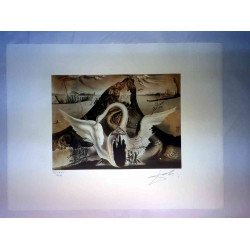 Salvador Dalí Litografía off set 50x65 cm certificado