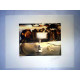 Salvador Dali Off set lithograph cm 50x65 certified