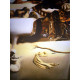 Salvador Dali Off set lithograph cm 50x65 certified