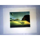 Conjunt de litografia de Salvador Dalí 50x65 cm certificat