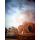 Salvador Dali Litografia off set cm 50x65   certificata