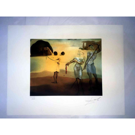 Salvador Dali Lithographie hors set 50x65 cm certifiée