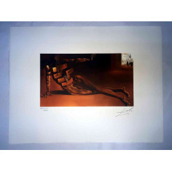Offset litograficzny Salvadora Dali z certyfikatem 50x65 cm