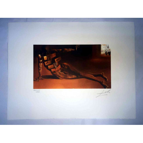 Offset litograficzny Salvadora Dali z certyfikatem 50x65 cm