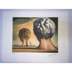 Salvador Dalí Litografía off set 50x65 cm certificado