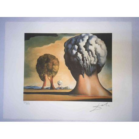 Salvador Dalí Litografía off set 50x65 cm certificado