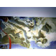 Salvador Dali Off set lithograph cm 50x65 certified