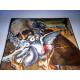 Litografia Salvador Dali off set 50x65 cm certificada