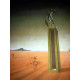Setul de litografie Salvador Dali 50x65 cm certificat