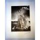 Litografía Salvador Dali off set 50x65 cm certificada