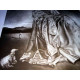Litografía Salvador Dali off set 50x65 cm certificada
