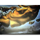 Salvador Dali Lithografie off set 50x65 cm gecertificeerd